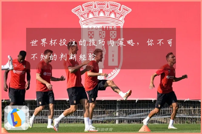 世界杯投注的技巧与策略，你不可不知的判断经验