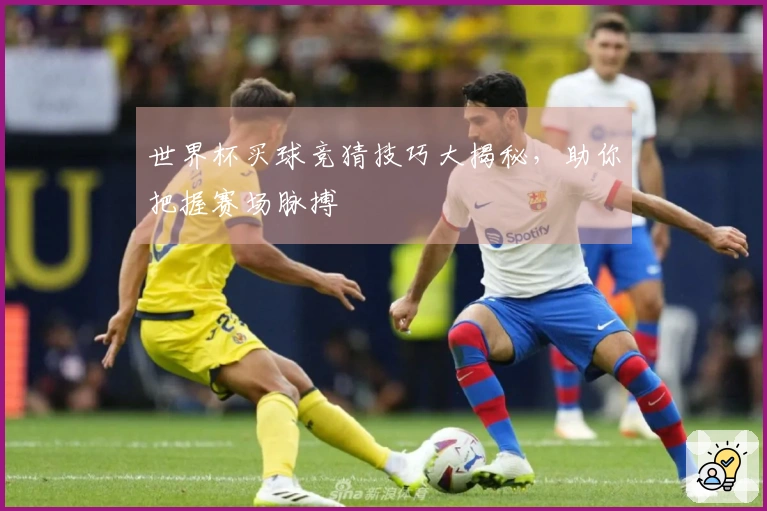世界杯买球竞猜技巧大揭秘，助你把握赛场脉搏