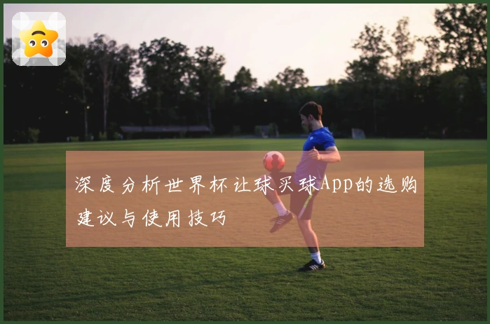 深度分析世界杯让球买球App的选购建议与使用技巧