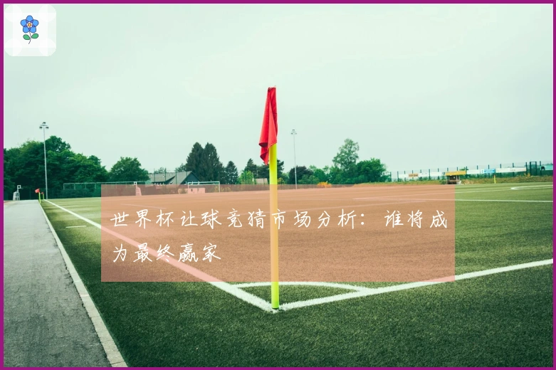 世界杯让球竞猜市场分析：谁将成为最终赢家