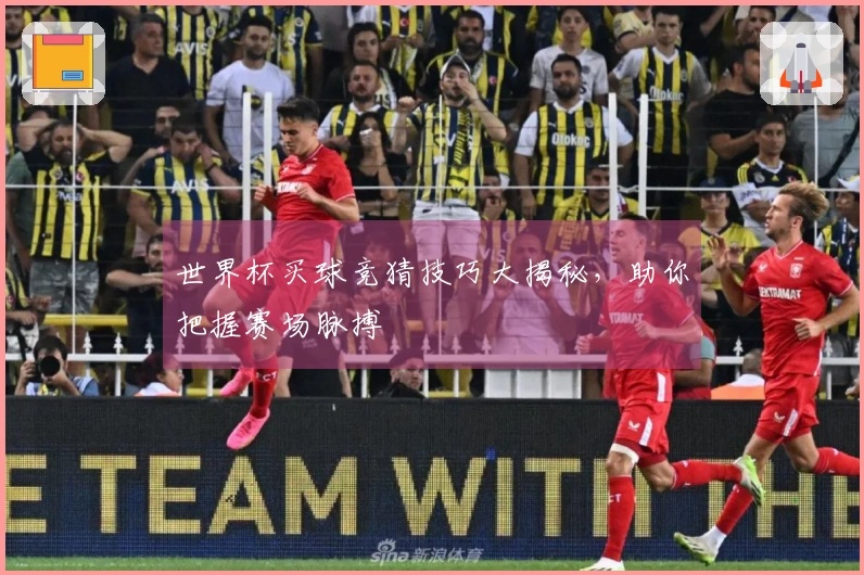 世界杯买球竞猜技巧大揭秘，助你把握赛场脉搏