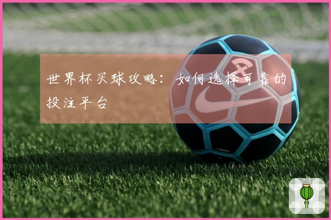 世界杯买球攻略：如何选择可靠的投注平台